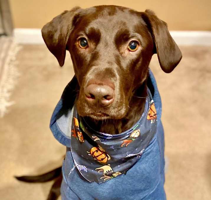 Photo of Ace