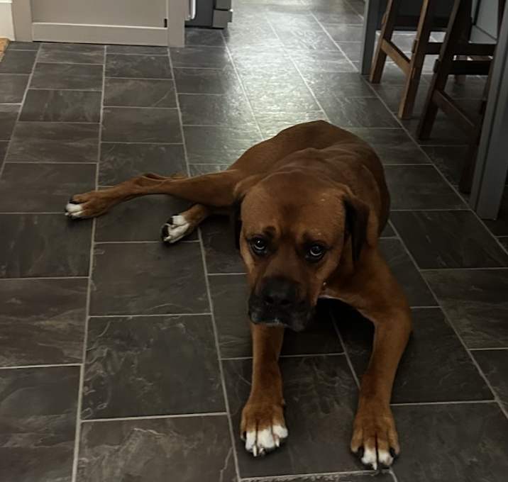 Photo of Max