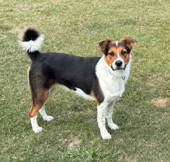 Photo of Lola