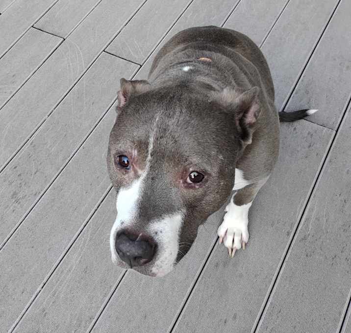 Photo of Sammie Soo the Magoo