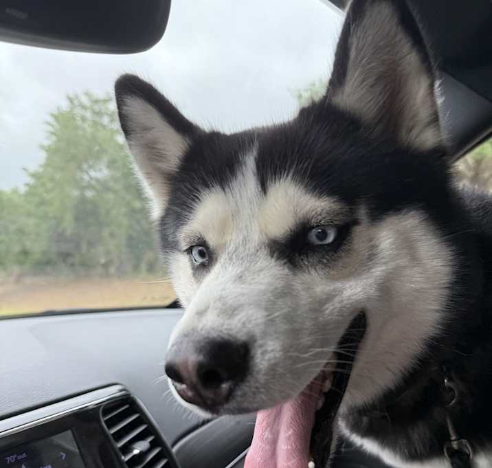 Photo of Beamer