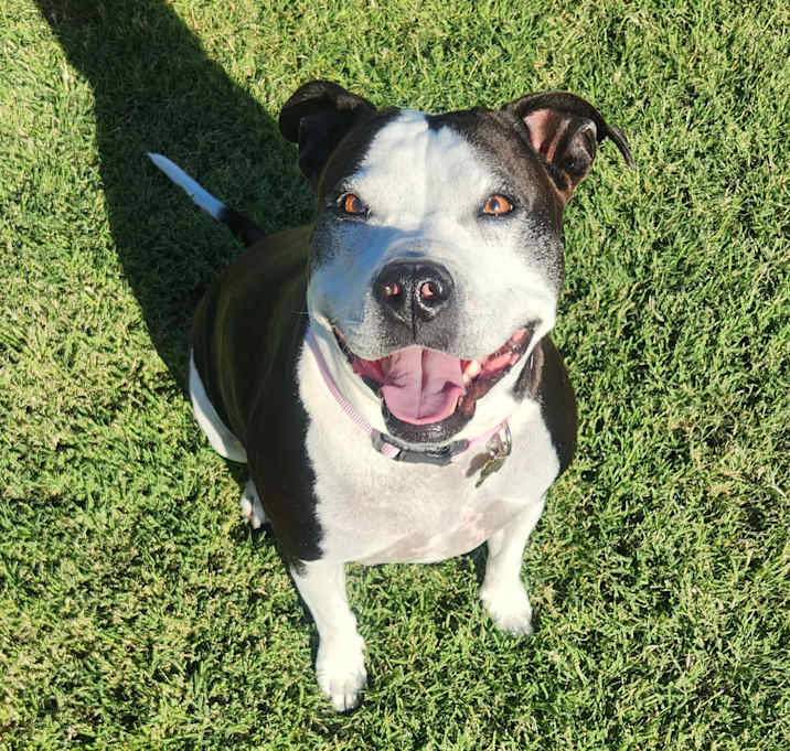 Photo of Bonnie