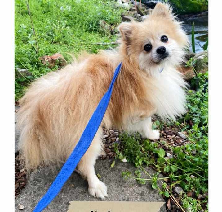 Photo of Kaiser