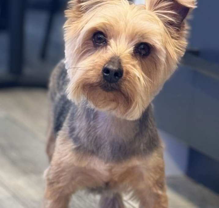Photo of JJ