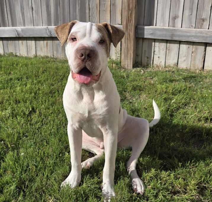 Photo of Azul