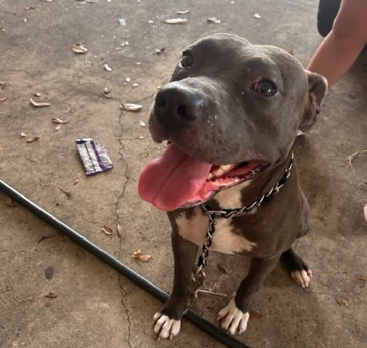 Photo of Winston