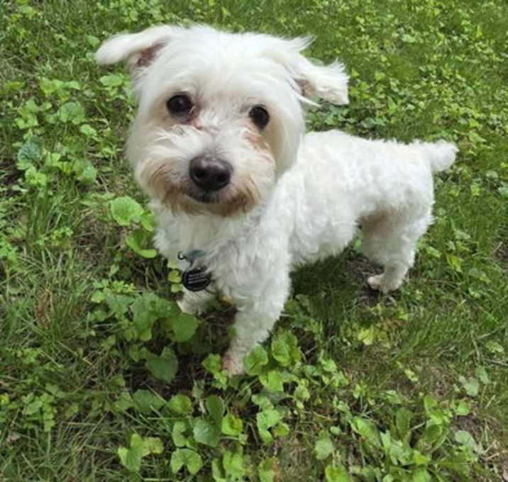 Photo of Kermit
