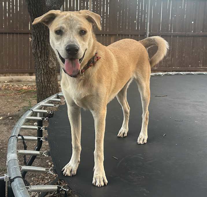 Photo of Roxie