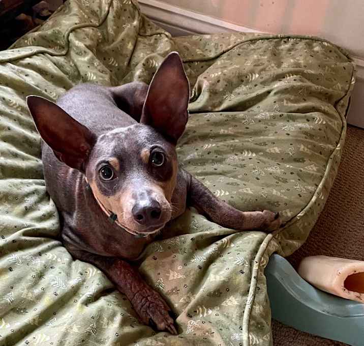 Photo of Doobie