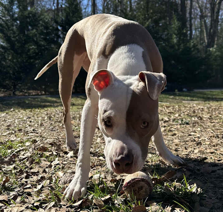 Photo of Roxy