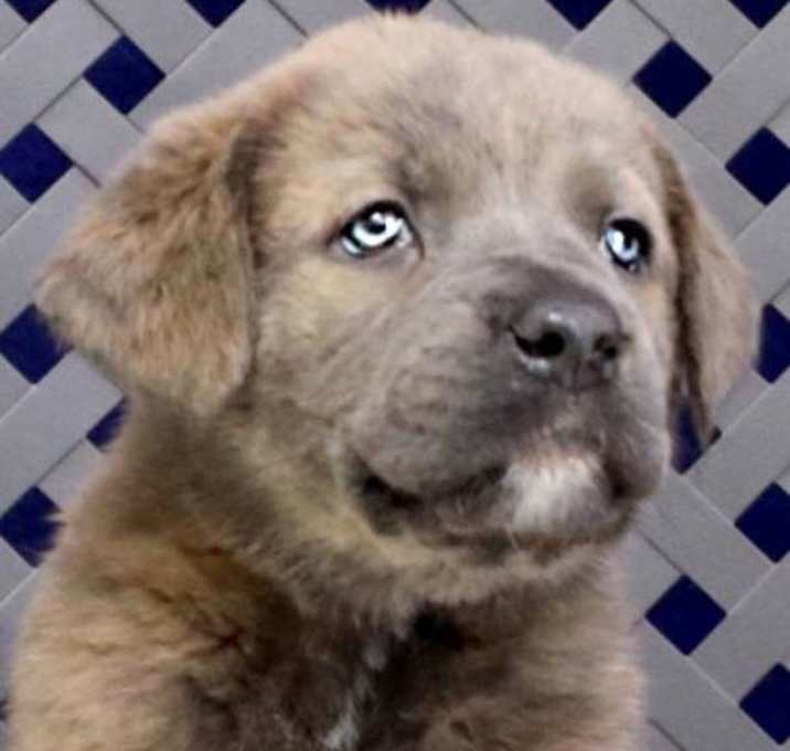 Photo of Shylie
