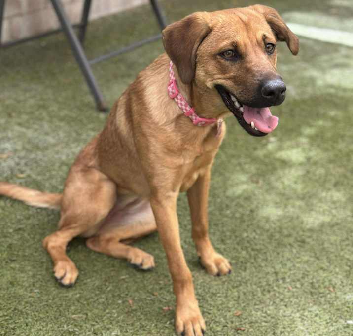 Photo of Austin Sadie -Texas PDR
