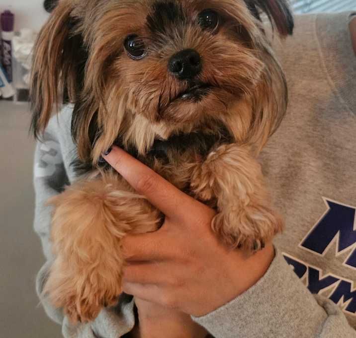 Photo of Chloe