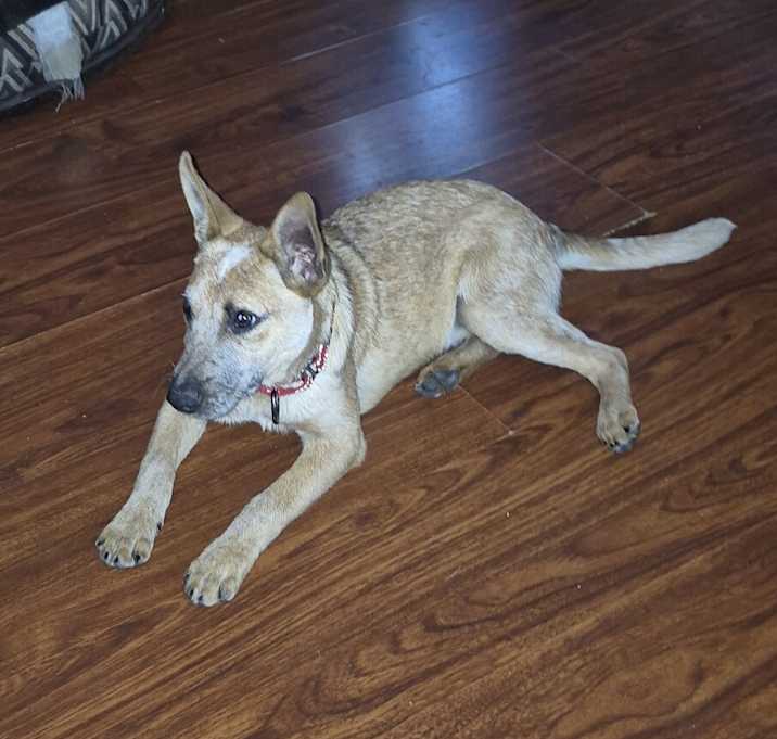 Photo of Flash