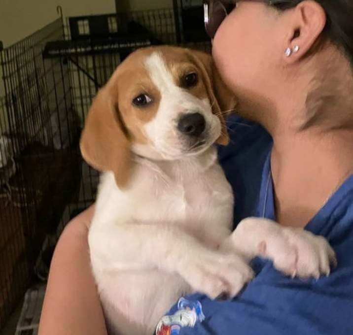 Photo of Cuddly Six Zira