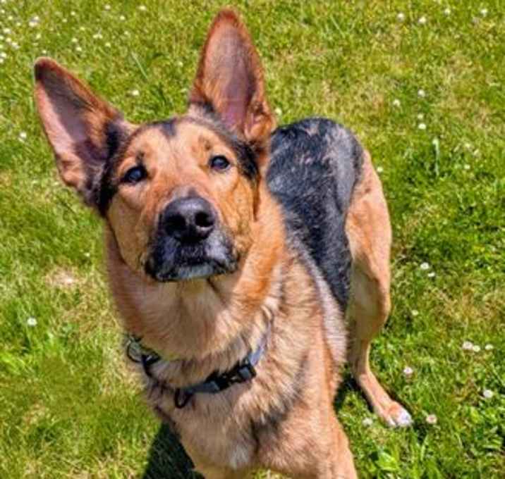 Photo of OAKLEY