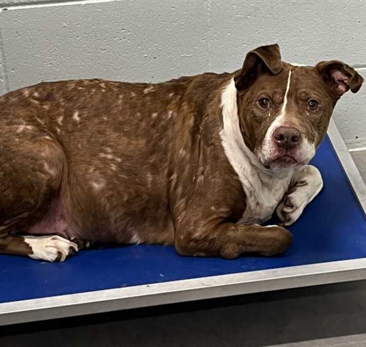 Photo of LOUIE