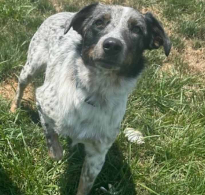 Photo of Sadie Sue