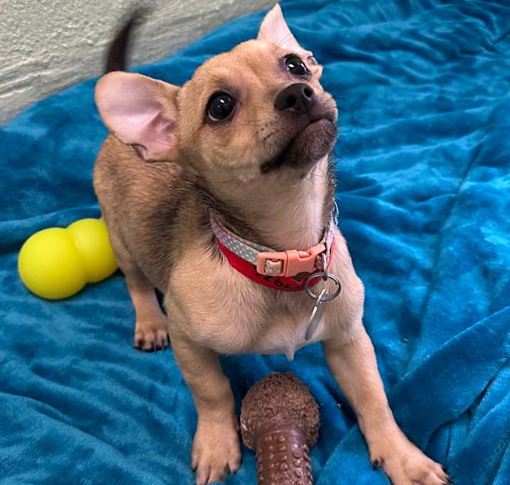 Photo of Wendy