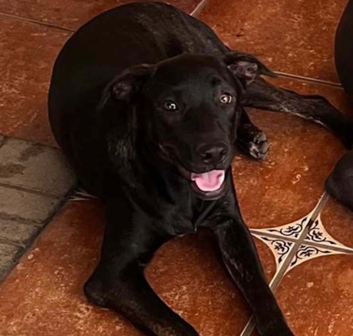 Photo of Jasmine