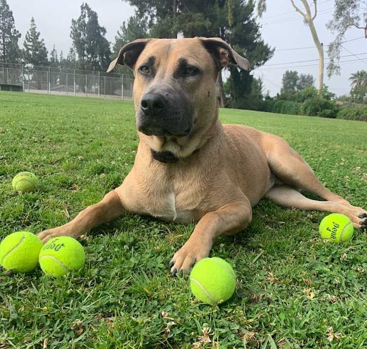 Photo of Churro