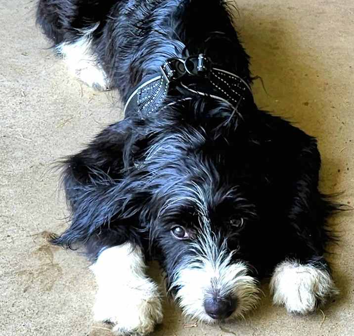 Photo of Solomon