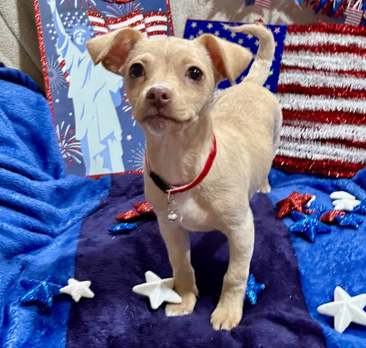 Photo of Winnie