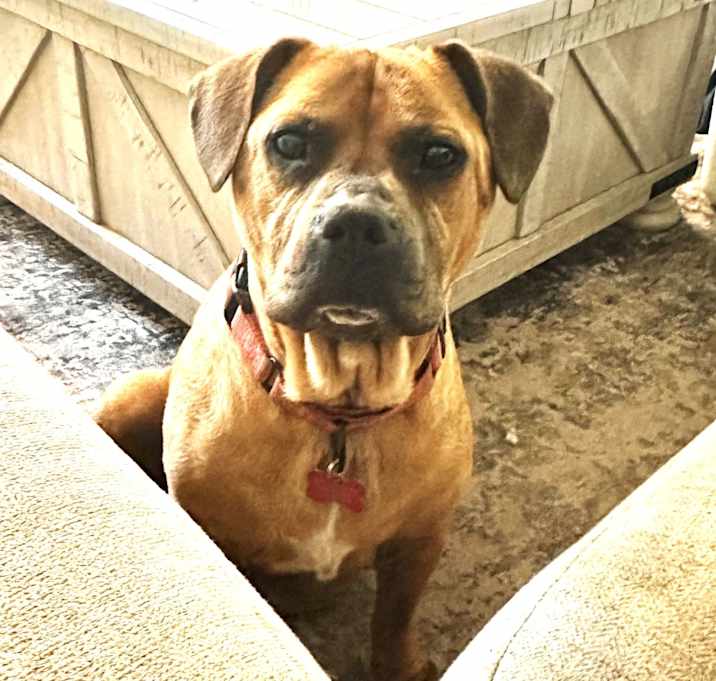 Photo of Angel