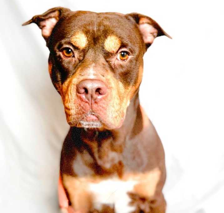 Photo of BILLY