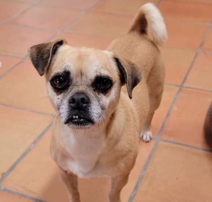 Photo of Bella