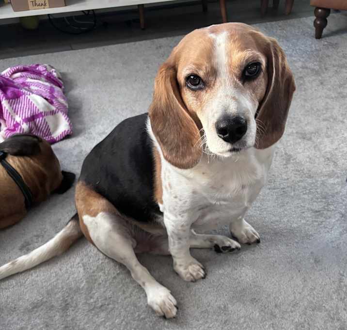 Photo of Maverick