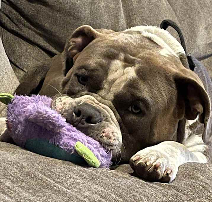 Photo of Murphy
