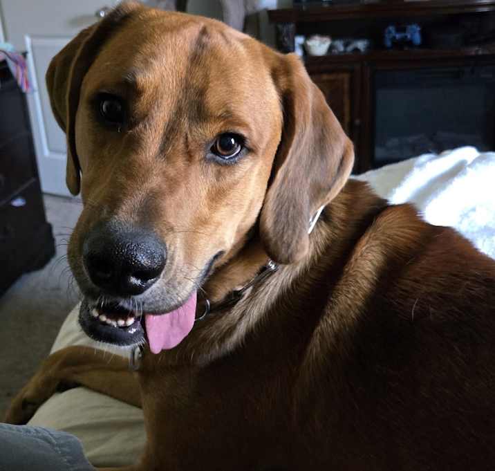 Photo of Clifford