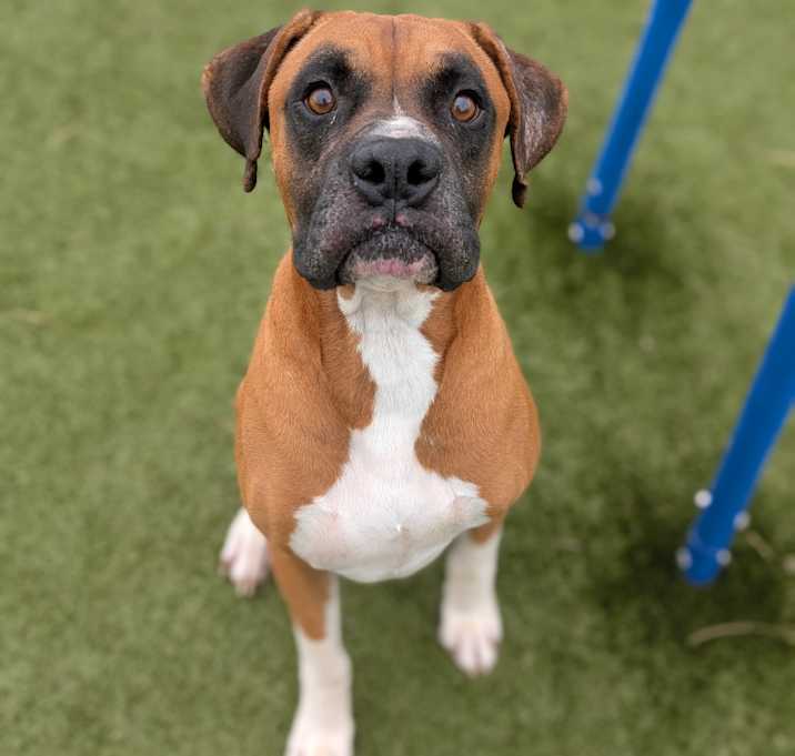 Photo of Jax