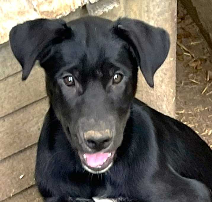Photo of Zydeco