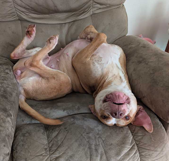 Photo of Artemis