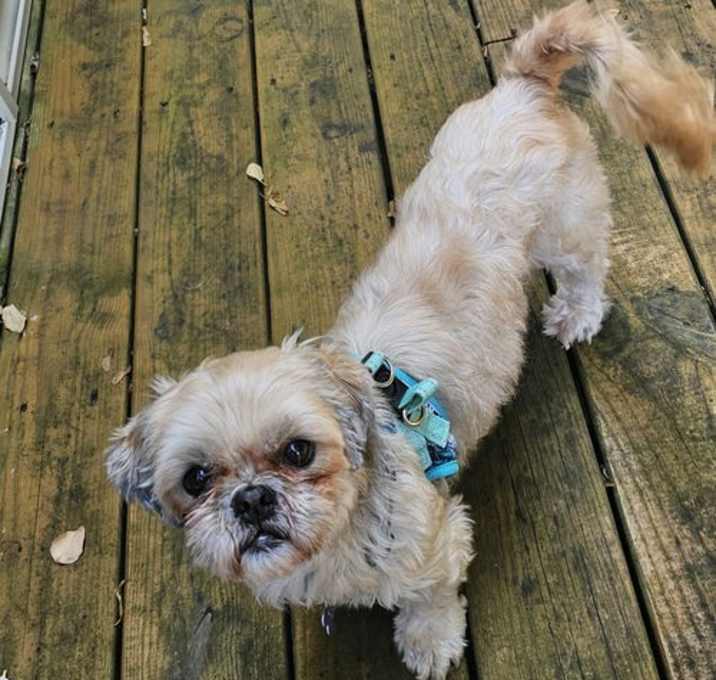 Photo of Mandy-OS