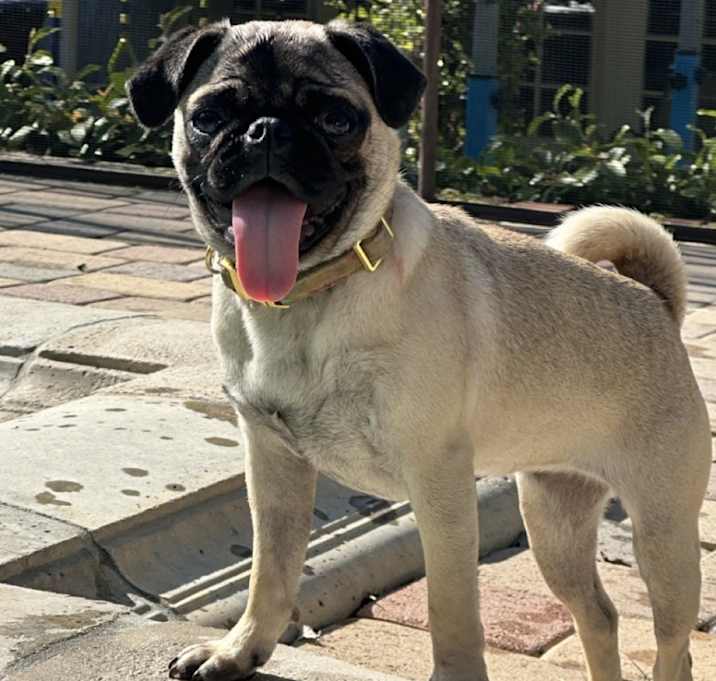 Photo of Betty