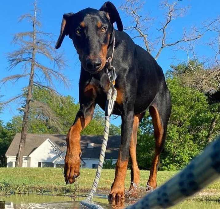 Photo of Nyla