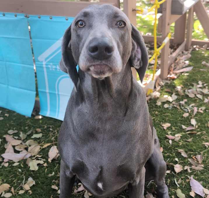 Photo of Nellie