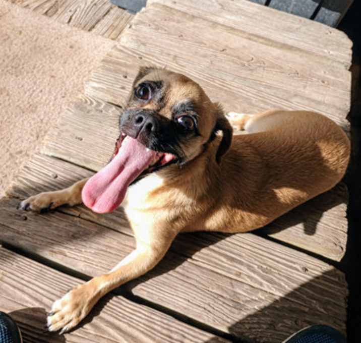 Photo of Beanie