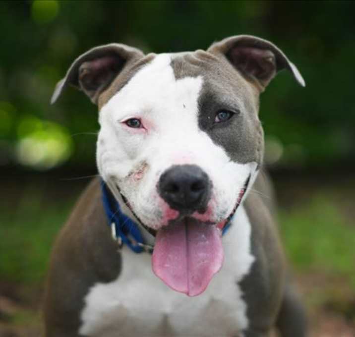Photo of SHORTY