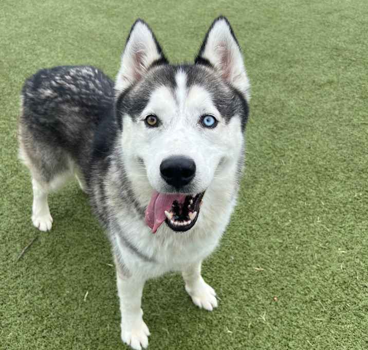 Photo of Kratos