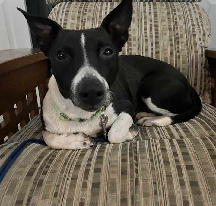 Photo of Asha