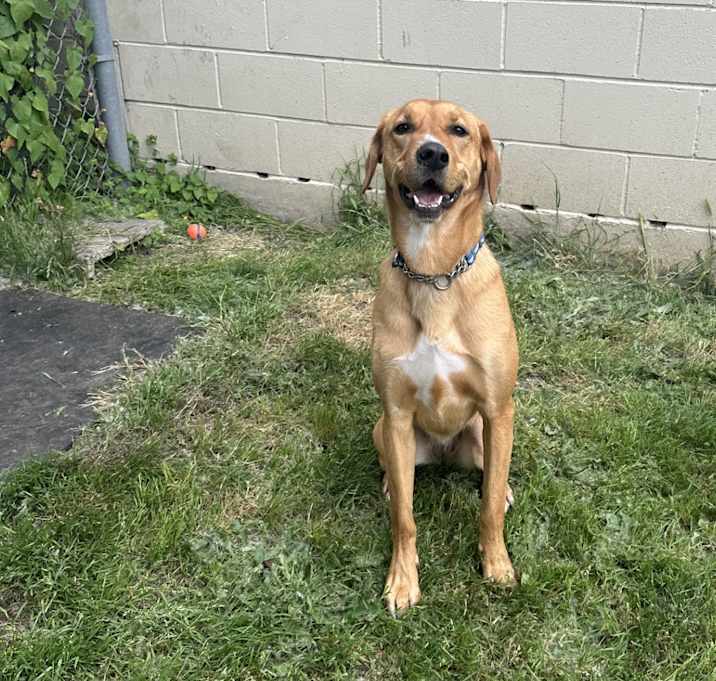 Photo of Nellie