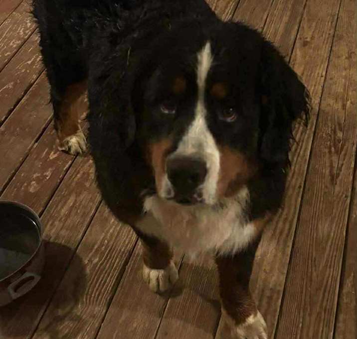 Photo of Tank