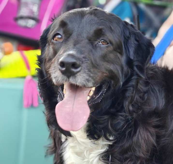 Photo of Hank
