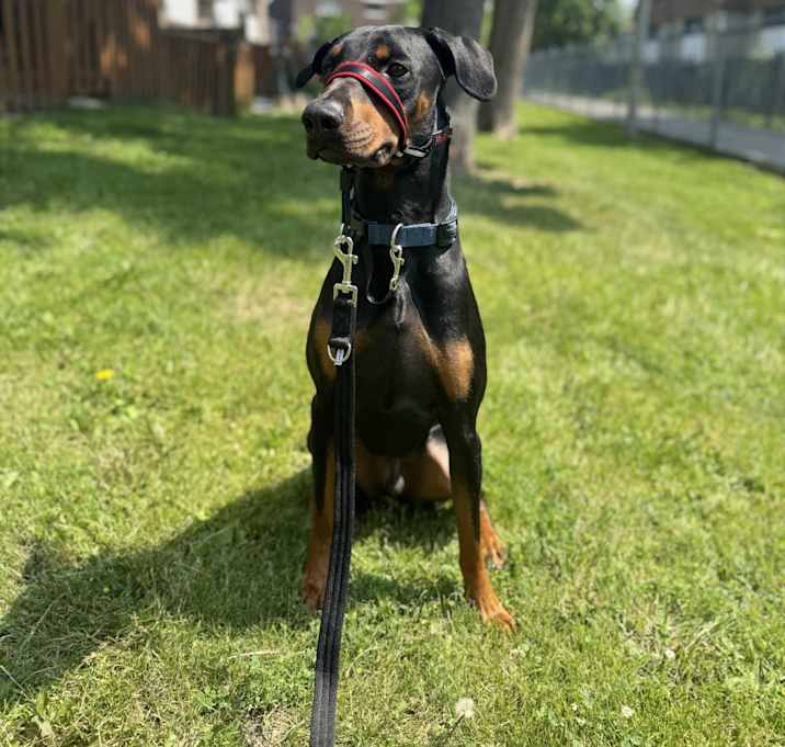 Photo of Max