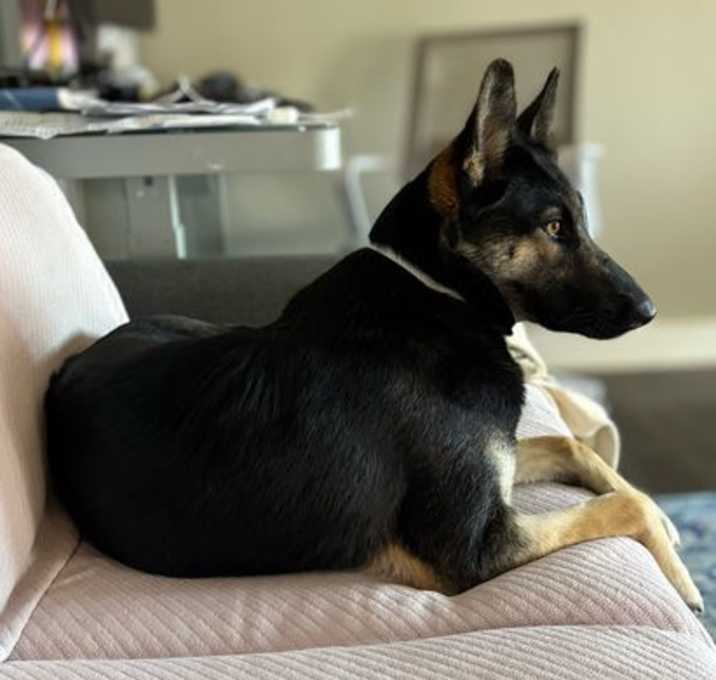 Photo of LYRIC