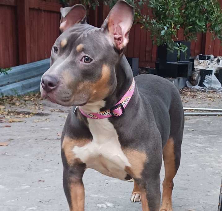 Photo of Jolene